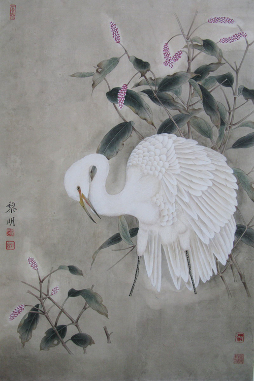 白鹭