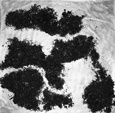 图片5.jpg 图片5.jpg
