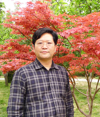 杨廷泽 杨廷泽
