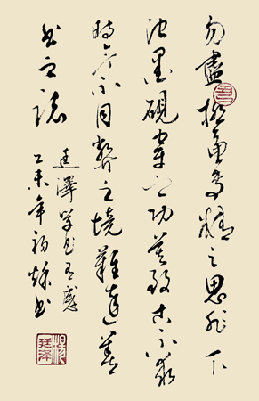 学书感悟