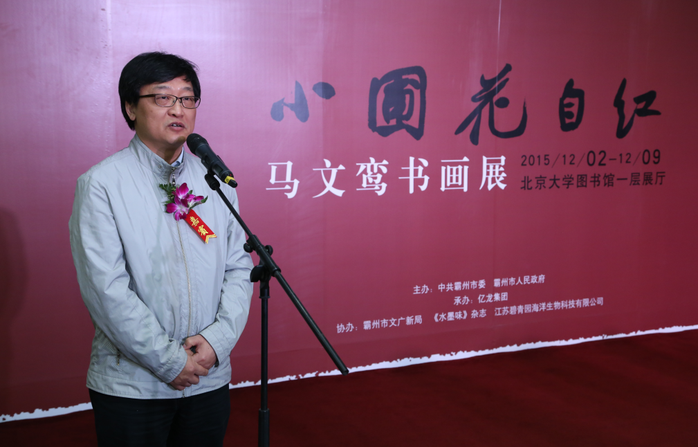 北京大学艺术学院副院长丁宁.png 北京大学艺术学院副院长丁宁.png