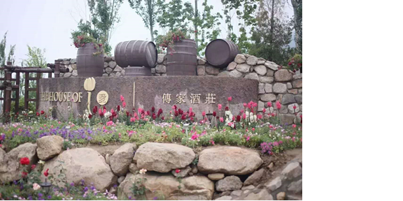 21世纪,中国能出现自己的洛克菲勒百年家族吗?