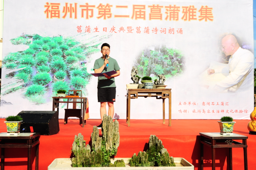 福州第二届菖蒲雅集意阔石上蒲汇举行 福州第二届菖蒲雅集意阔石上蒲汇举行